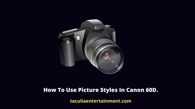 How To Use Picture Styles In Canon 60D.
