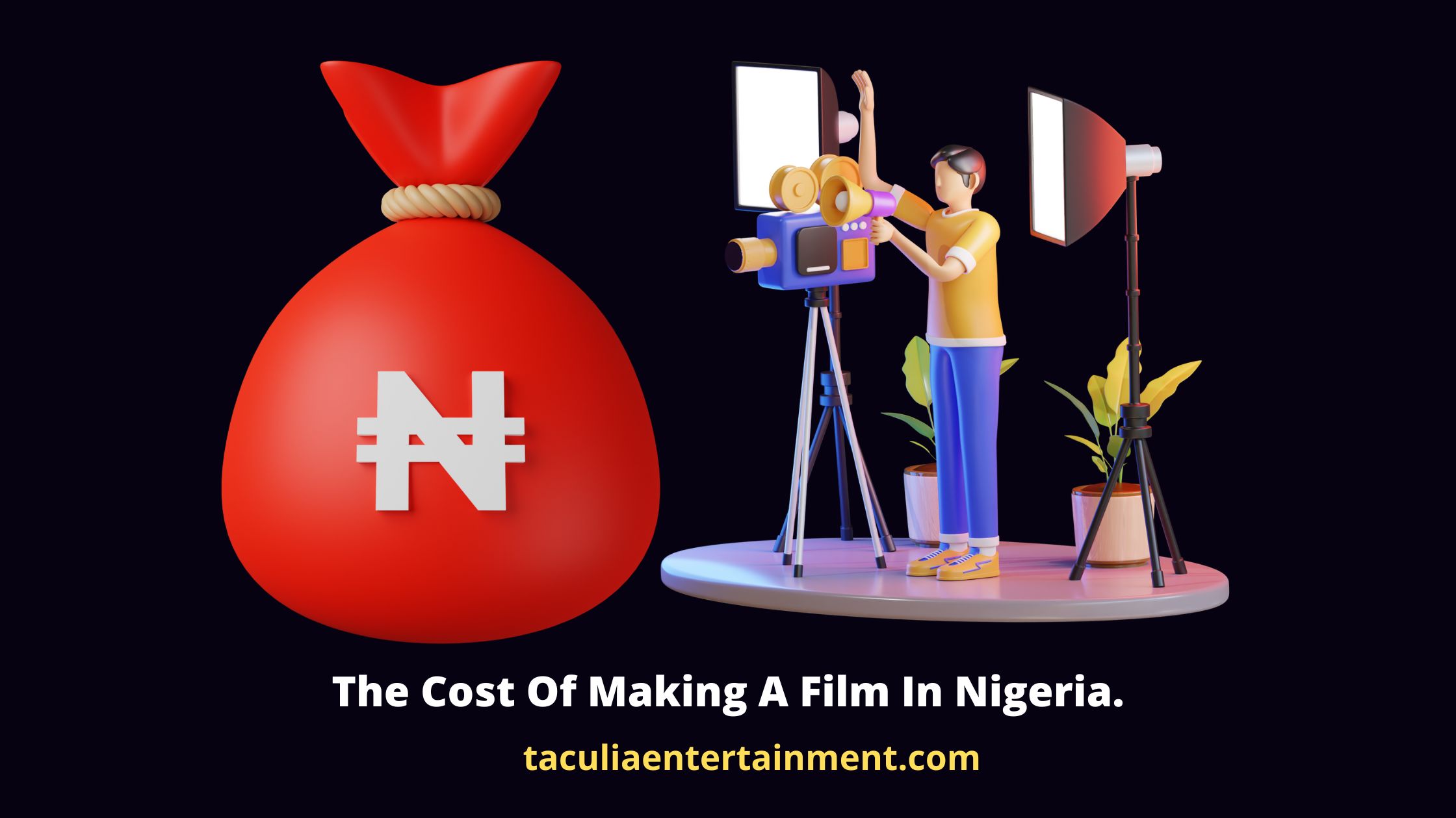 The Cost Of Making A Film In Nigeria.